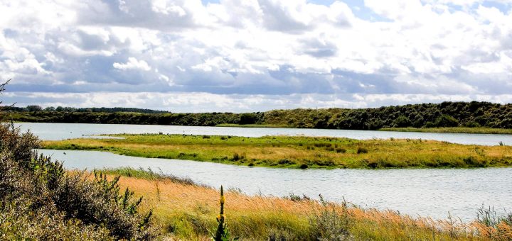 14847004438 6454bb96be k 1