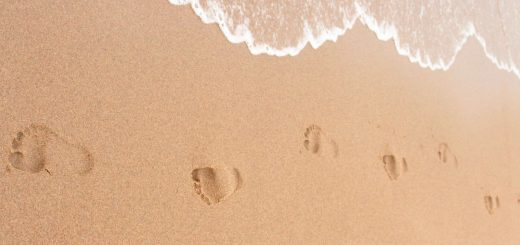 gare du nord,valises,Paris