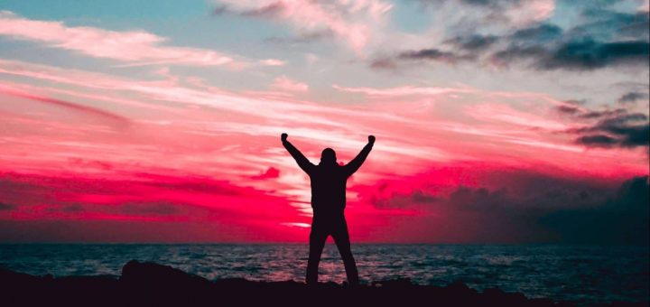 pexels rakicevic nenad 801885 1 1 geschaald e1646138232116