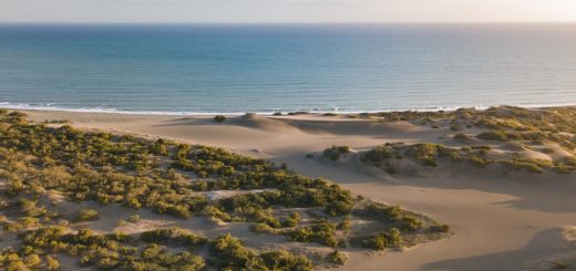 Discovering the Landes: a department between land and sea