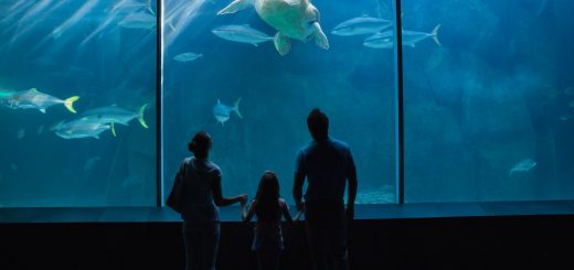 Guadeloupe,Onvergetelijk verblijf in Guadeloupe