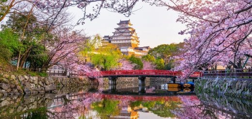 Quand visiter le Japon pour profiter pleinement de votre séjour ?